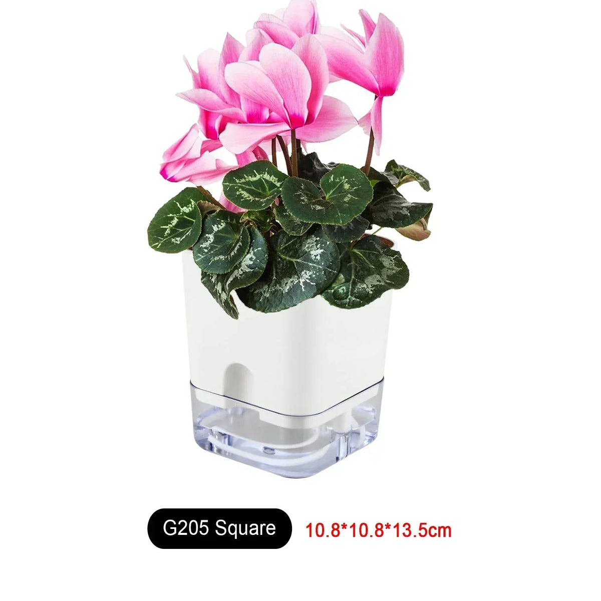 HydroLino Flower Pot | Self-Watering | Compact & Transparent | For Indoor Use