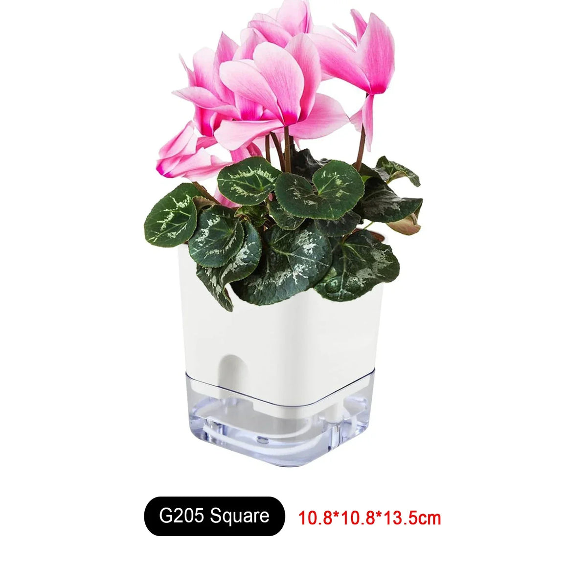 Plant Pot BloomEase | Self-Watering & Space-Saving | With Water Level Indicator | For Indoor Plants & Herbs
