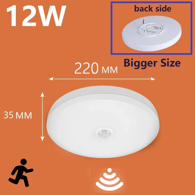 LED PIR motion sensor ceiling lamp - modern lighting for bedroom, living room, staircase lighting