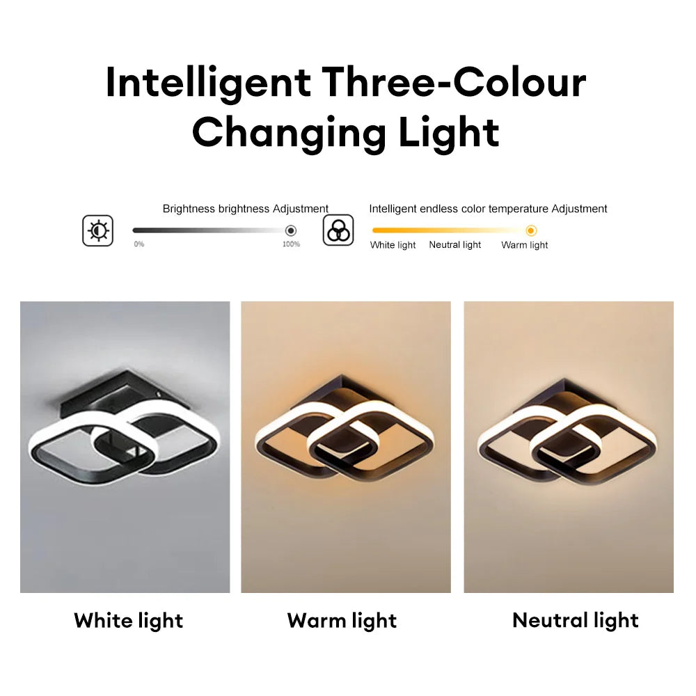 Modern ceiling lamp 85-265V metal ceiling lamp three-color light ceiling lamp for living room hallway balcony home decoration