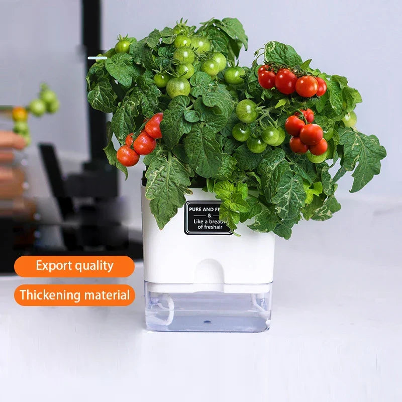 Plant Pot BloomEase | Self-Watering & Space-Saving | With Water Level Indicator | For Indoor Plants & Herbs