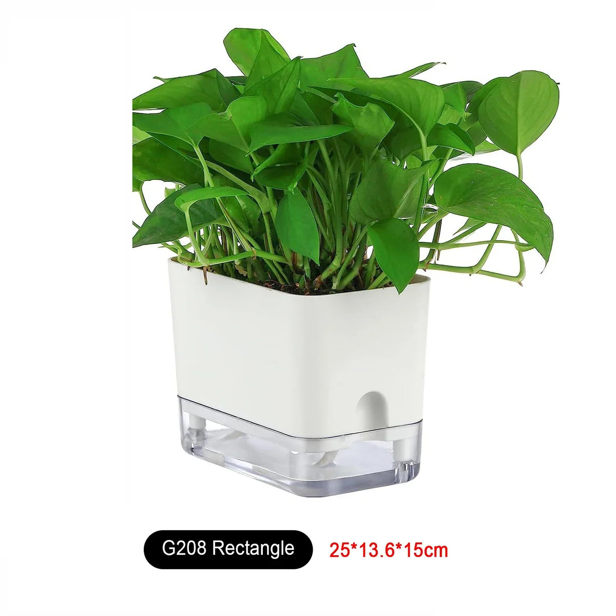 Plant Pot BloomEase | Self-Watering & Space-Saving | With Water Level Indicator | For Indoor Plants & Herbs