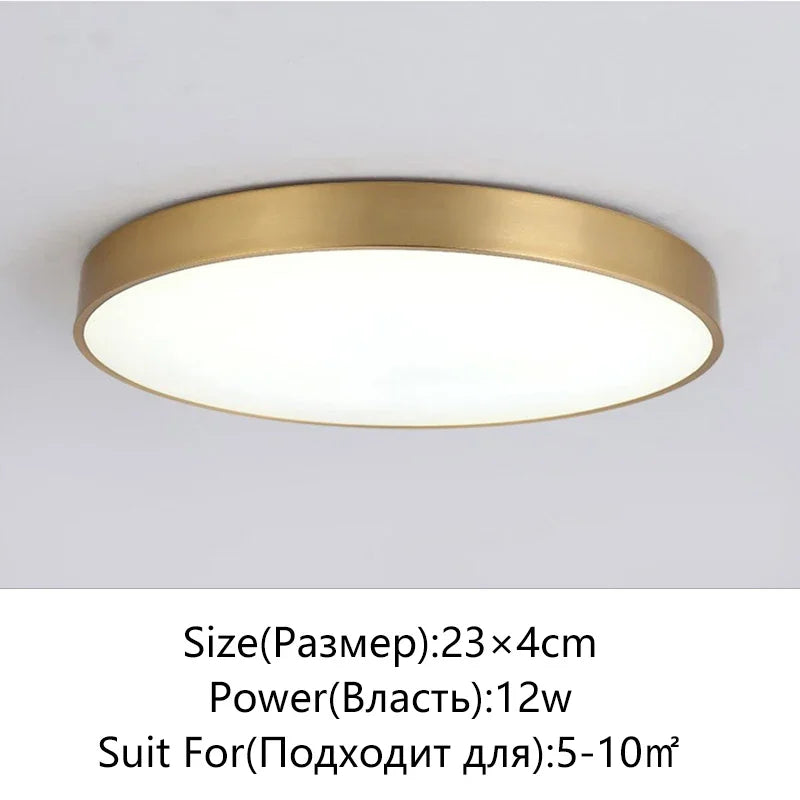 Modern LED Halogen Ceiling lamps - Simple golden round