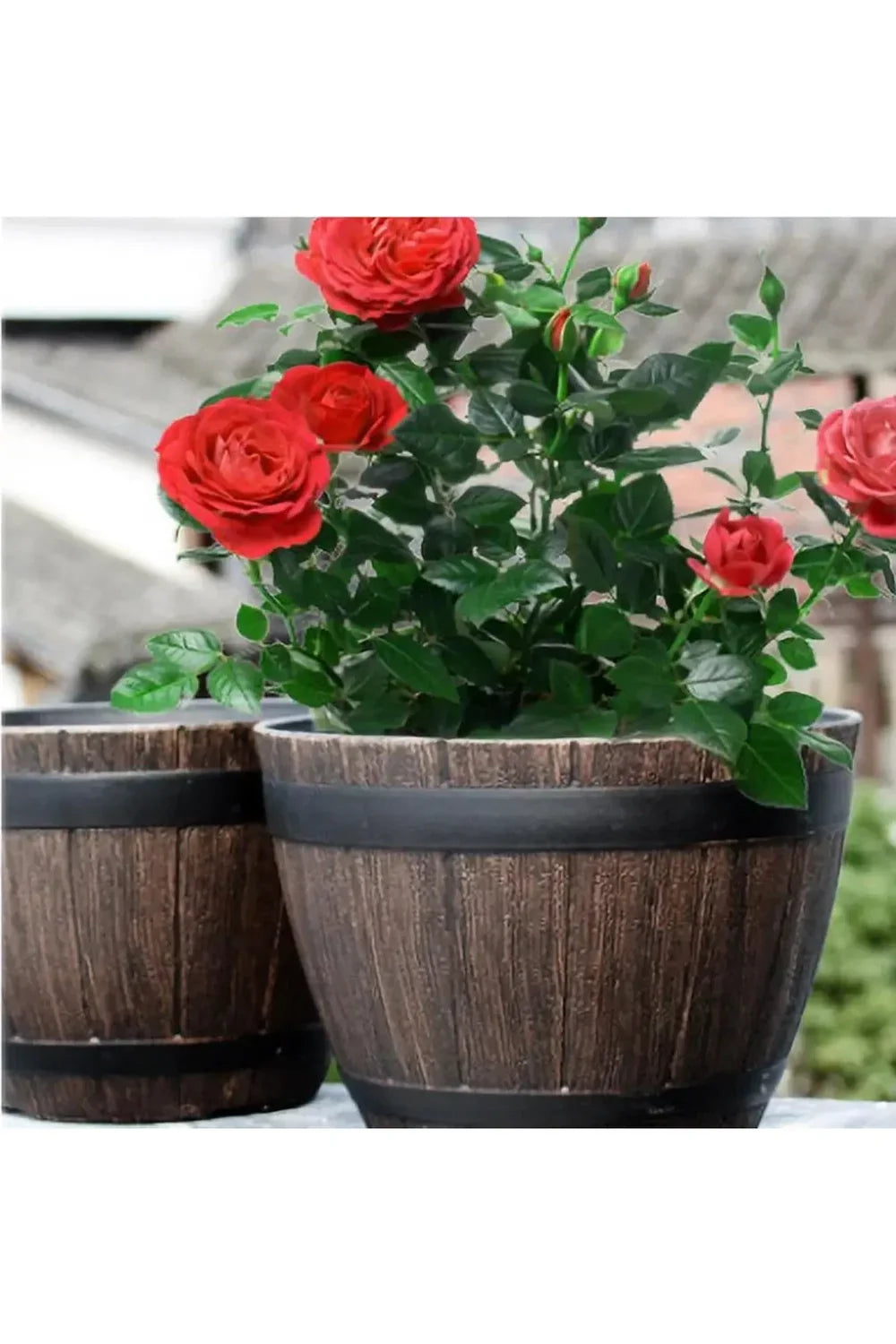 Wood Barrel Plant Pot