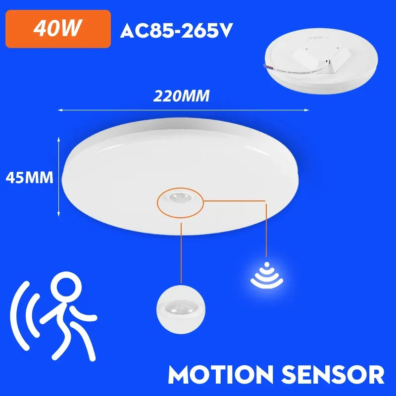 LED PIR motion sensor ceiling lamp - modern lighting for bedroom, living room, staircase lighting