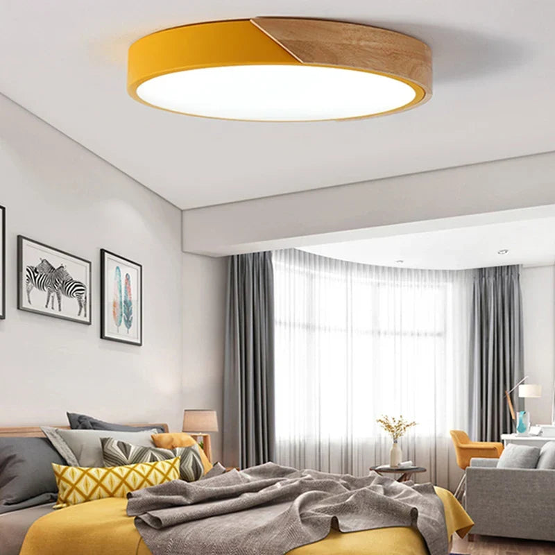 LED ceiling lamp for room decoration for bedroom, hallway, balcony, living room chandelier