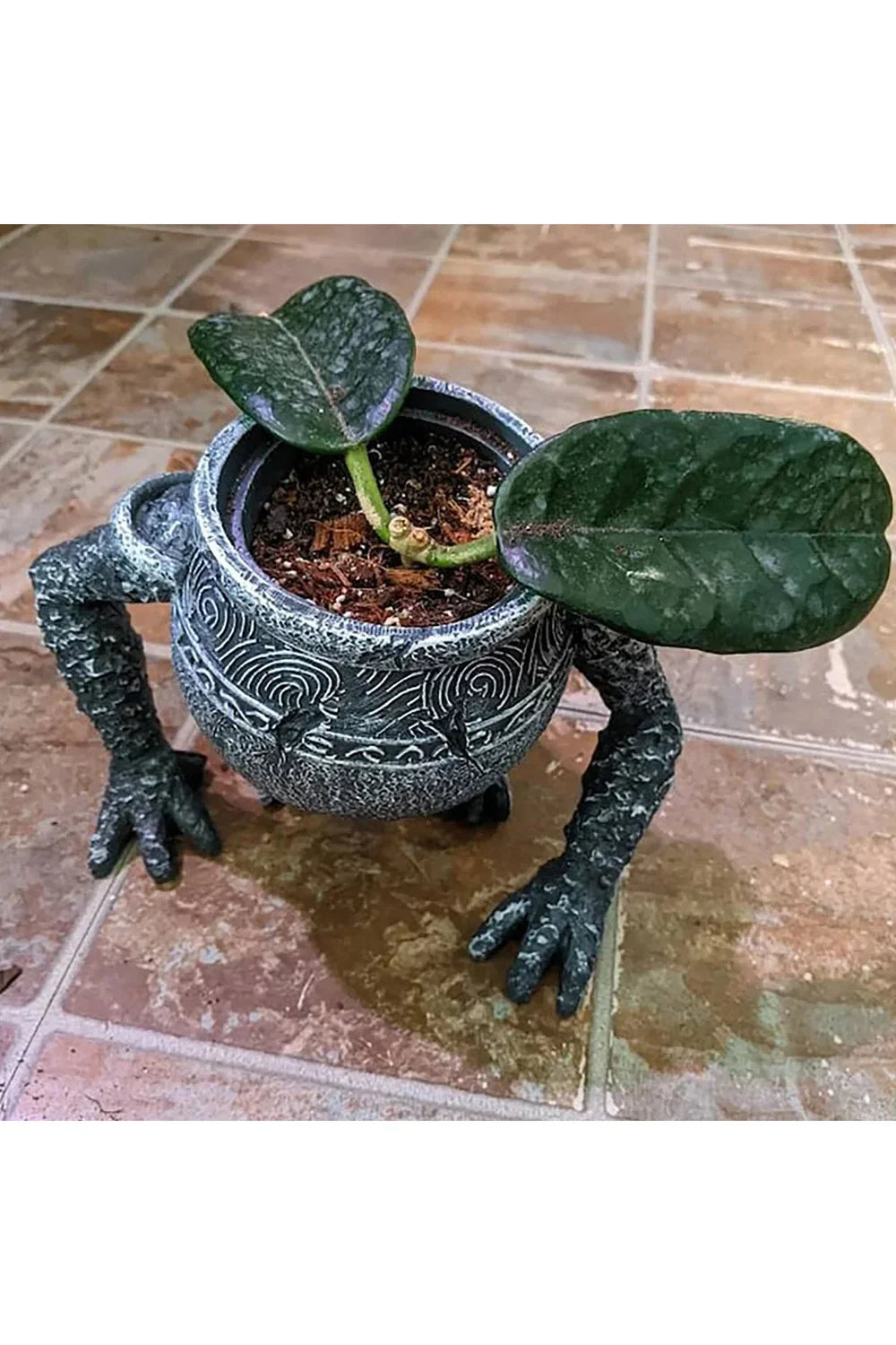 Jar-Garden planting pot