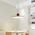 Nordic Cream Fly Plate Pendant Lamp – Modern LED Light for living room, bedroom, and restaurant, 20/30cm
