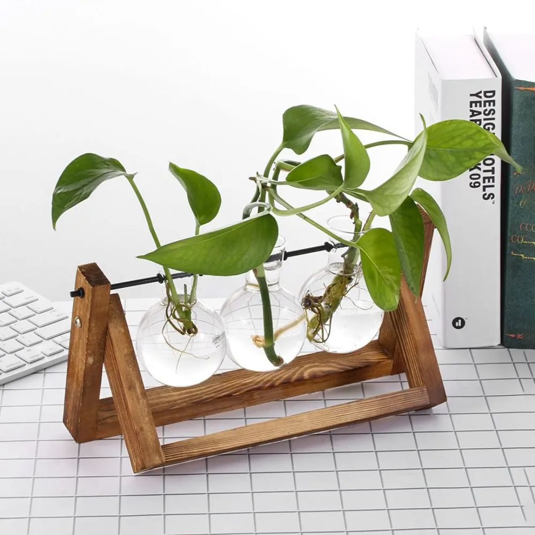 Modern hydroponic pot with a wooden tray