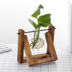 Modern hydroponic pot with a wooden tray
