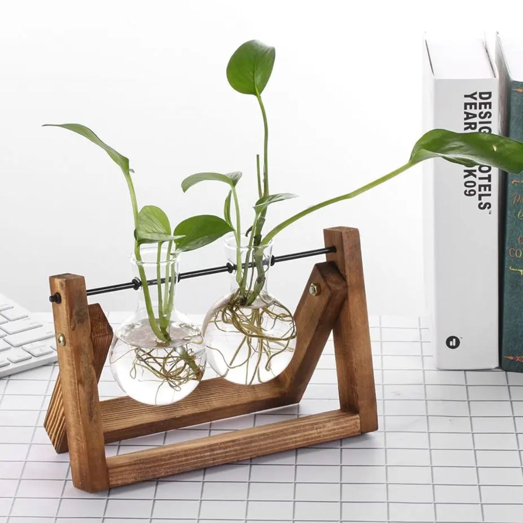 Modern hydroponic pot with a wooden tray