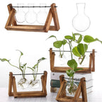 Modern hydroponic pot with a wooden tray