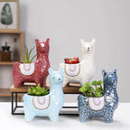 Alpaca Ceramic Pots for Your Plants