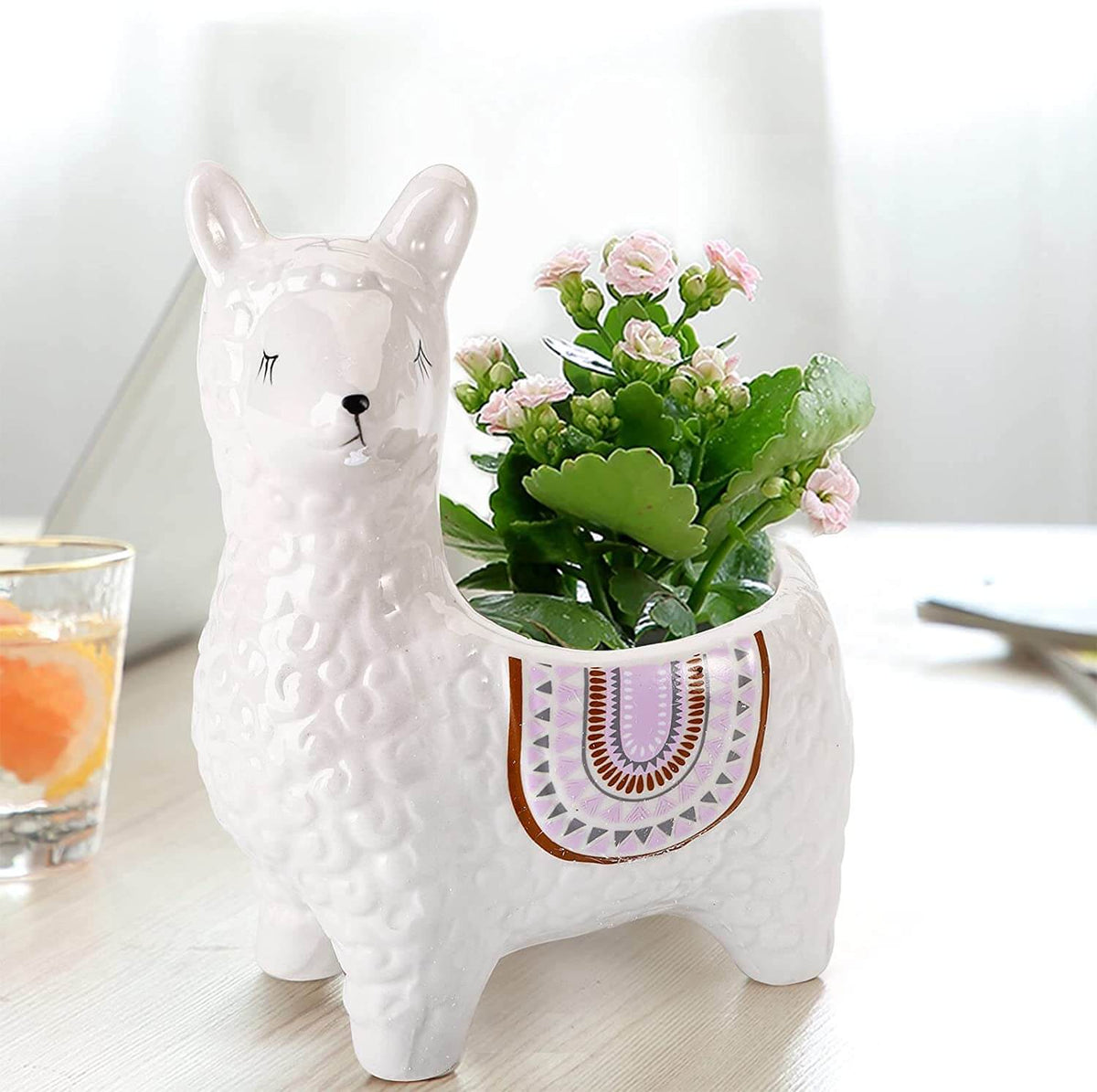 Alpaca Ceramic Pots for Your Plants