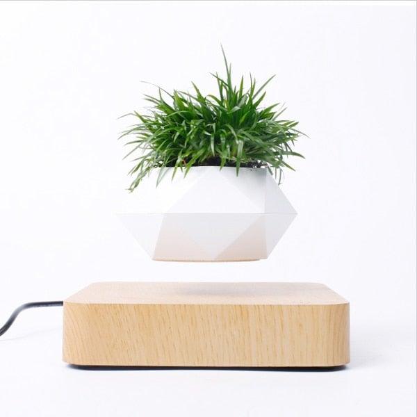 Floating Air Bonsai Pot