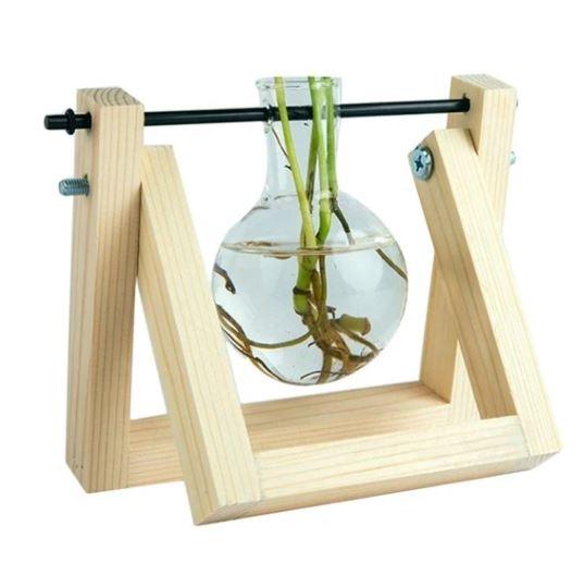 Fauna Plants Cuttings Pots | Grow your own plants at home