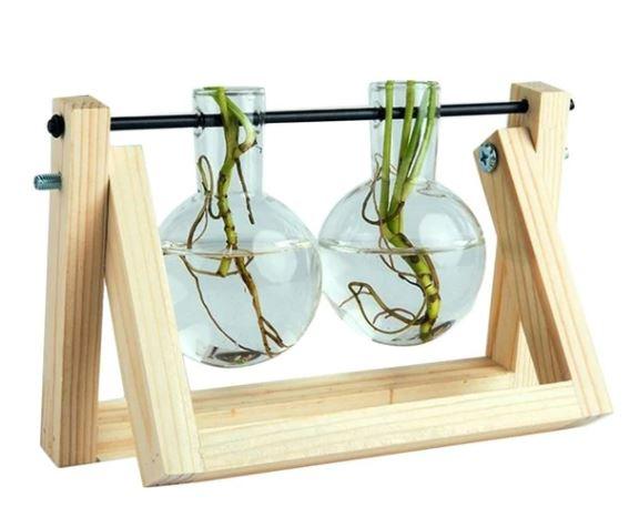 Fauna Plants Cuttings Pots | Grow your own plants at home