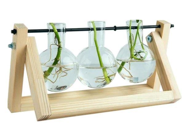 Fauna Plants Cuttings Pots | Grow your own plants at home
