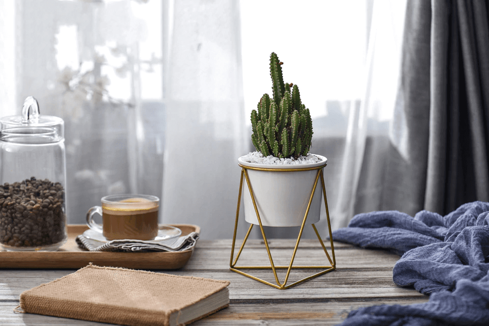 LIVIA – Elegant flower pot for stylish decoration