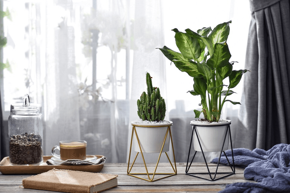 LIVIA – Elegant flower pot for stylish decoration