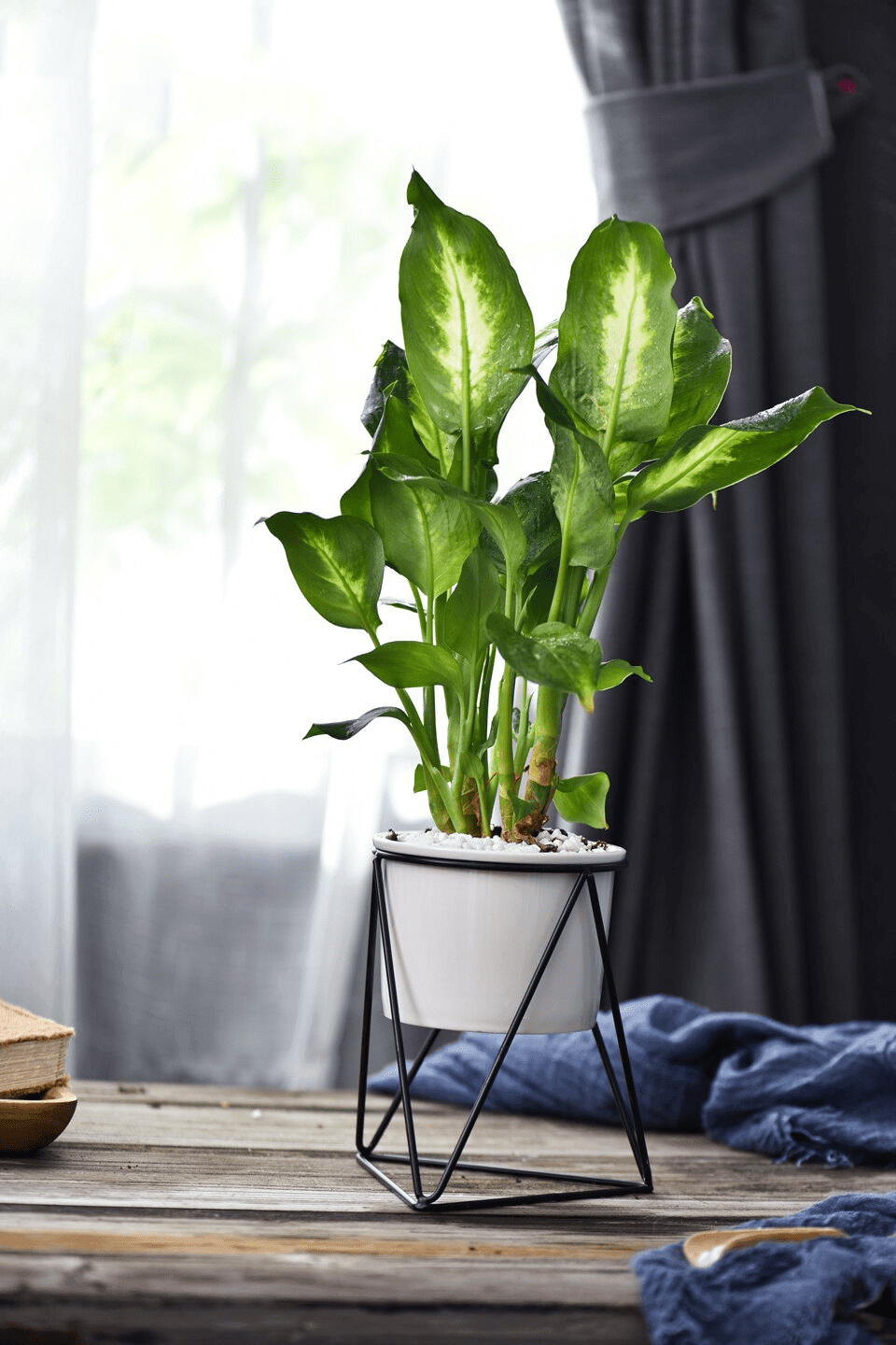 LIVIA – Elegant flower pot for stylish decoration