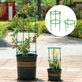 PlantBuddy Healthy Plant Growth