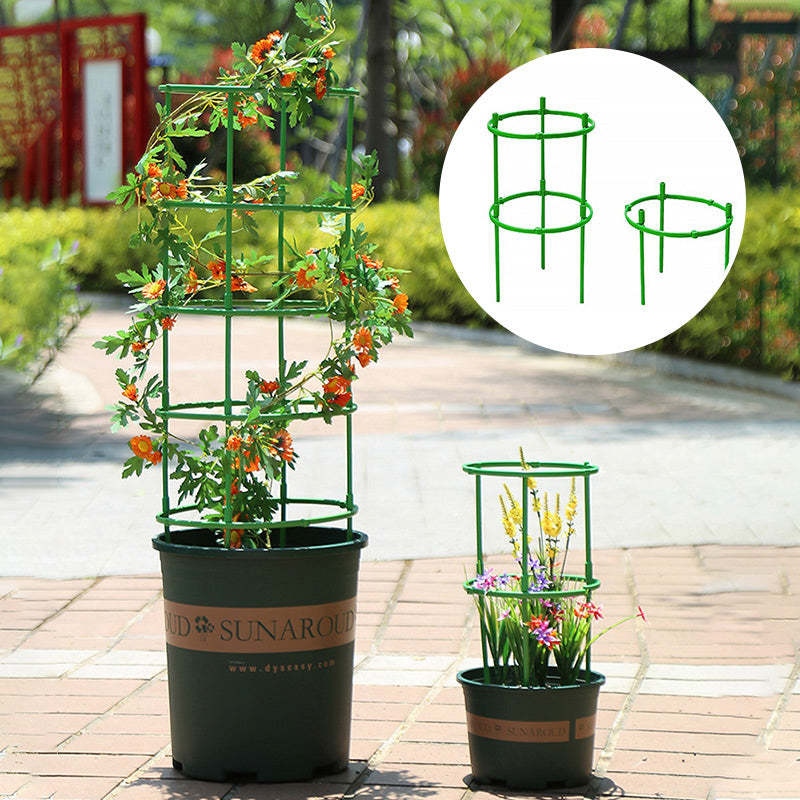 PlantBuddy Healthy Plant Growth