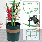 PlantBuddy Healthy Plant Growth